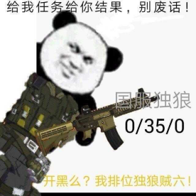 冷酷无情的专业雇佣兵-独狼