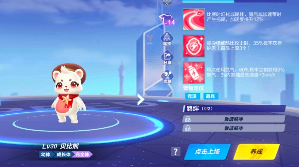 【萌宠攻略】萌熊出没 帽顶风采 贝比熊可爱来袭