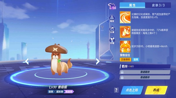 【萌宠攻略】香菇精灵 活泼可爱 香菇貂萌动来袭