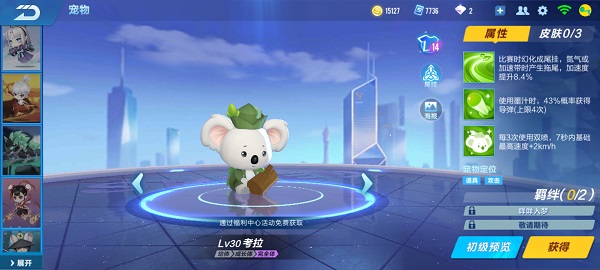 【萌宠攻略】憨笑嗜睡 呆萌一刻 考拉降临