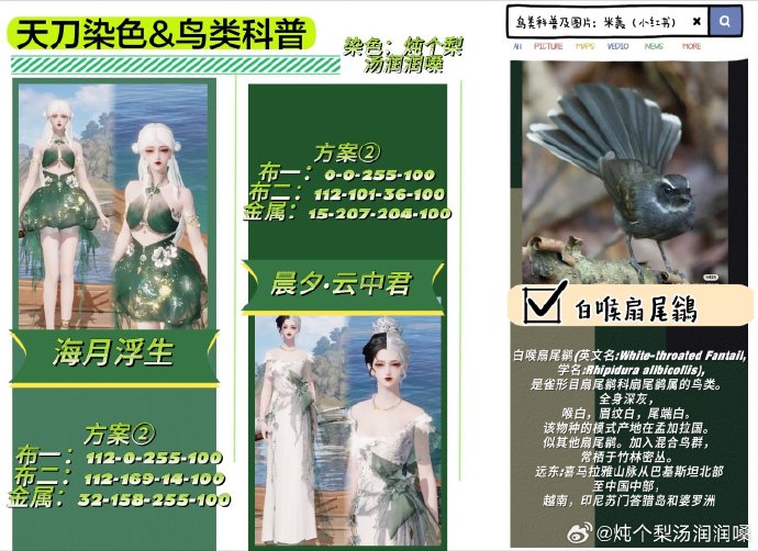 欣赏自然之美，鸟类科普拟人染色特刊数据分享