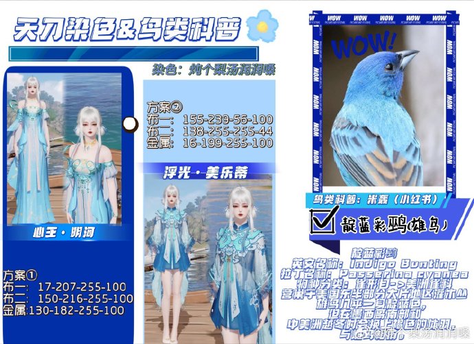欣赏自然之美，鸟类科普拟人染色特刊数据分享