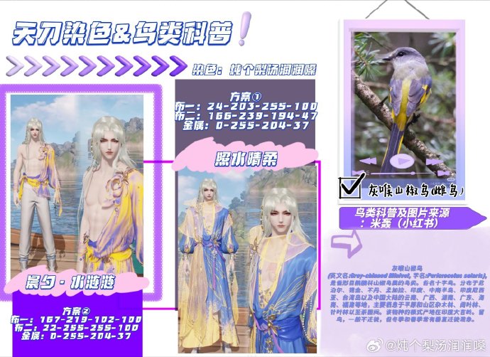 欣赏自然之美，鸟类科普拟人染色特刊数据分享