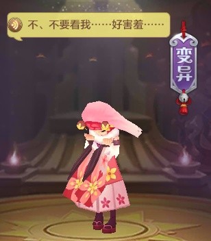 教你如何挑选宠物