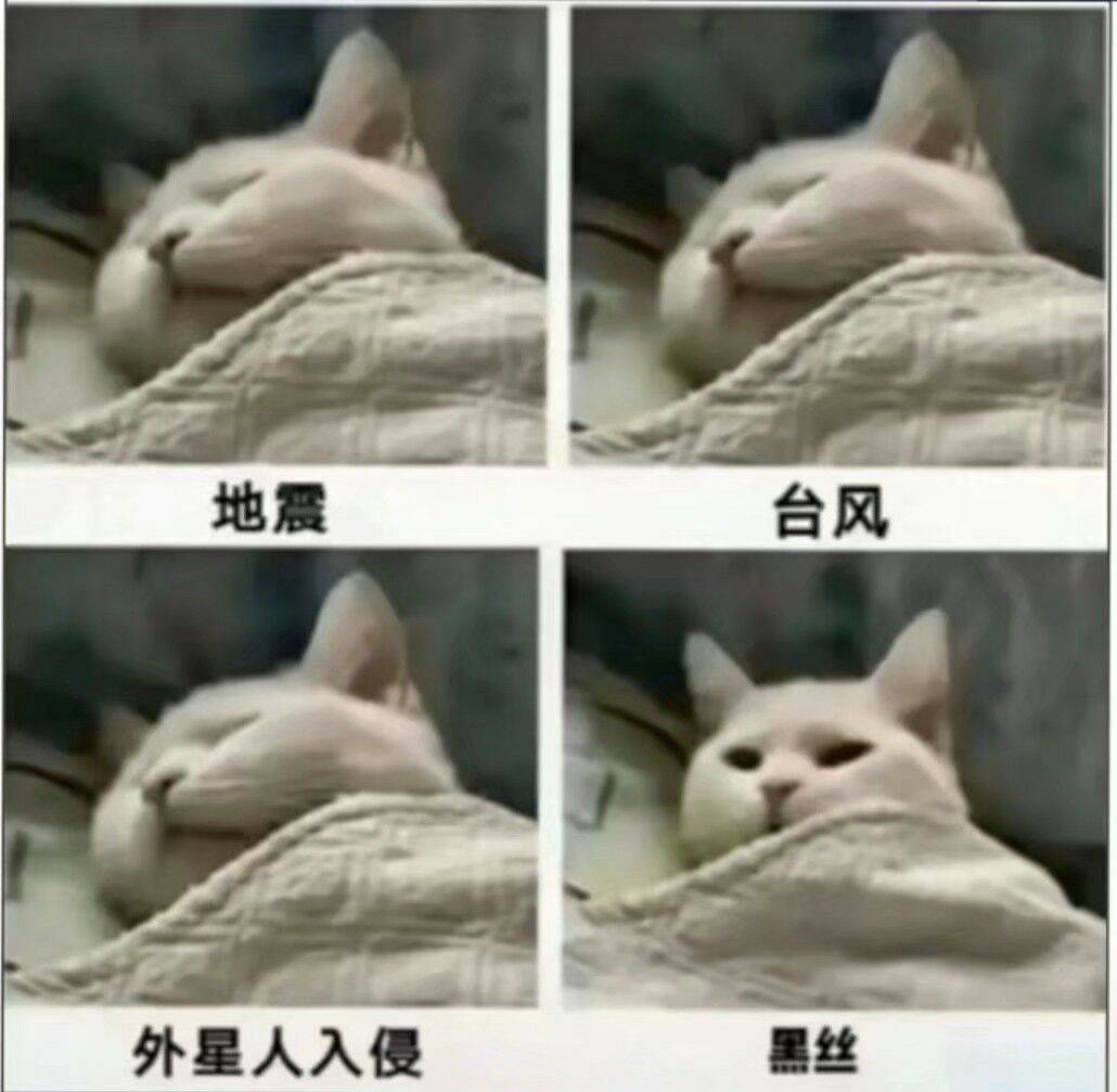 一天不看黑丝浑身不舒服-清风博客