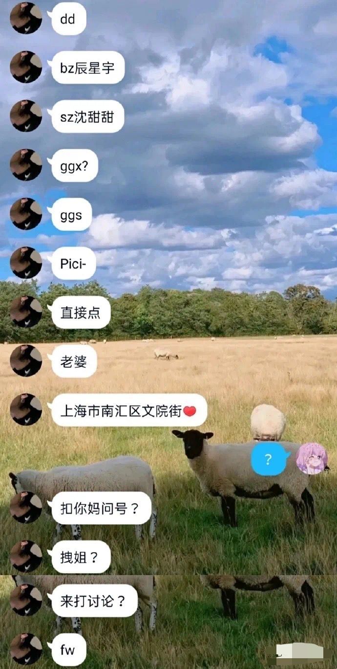 图片[20]-小学生的迷惑行为大赏-笑死我了-热点1站-源码资源免费分享官网