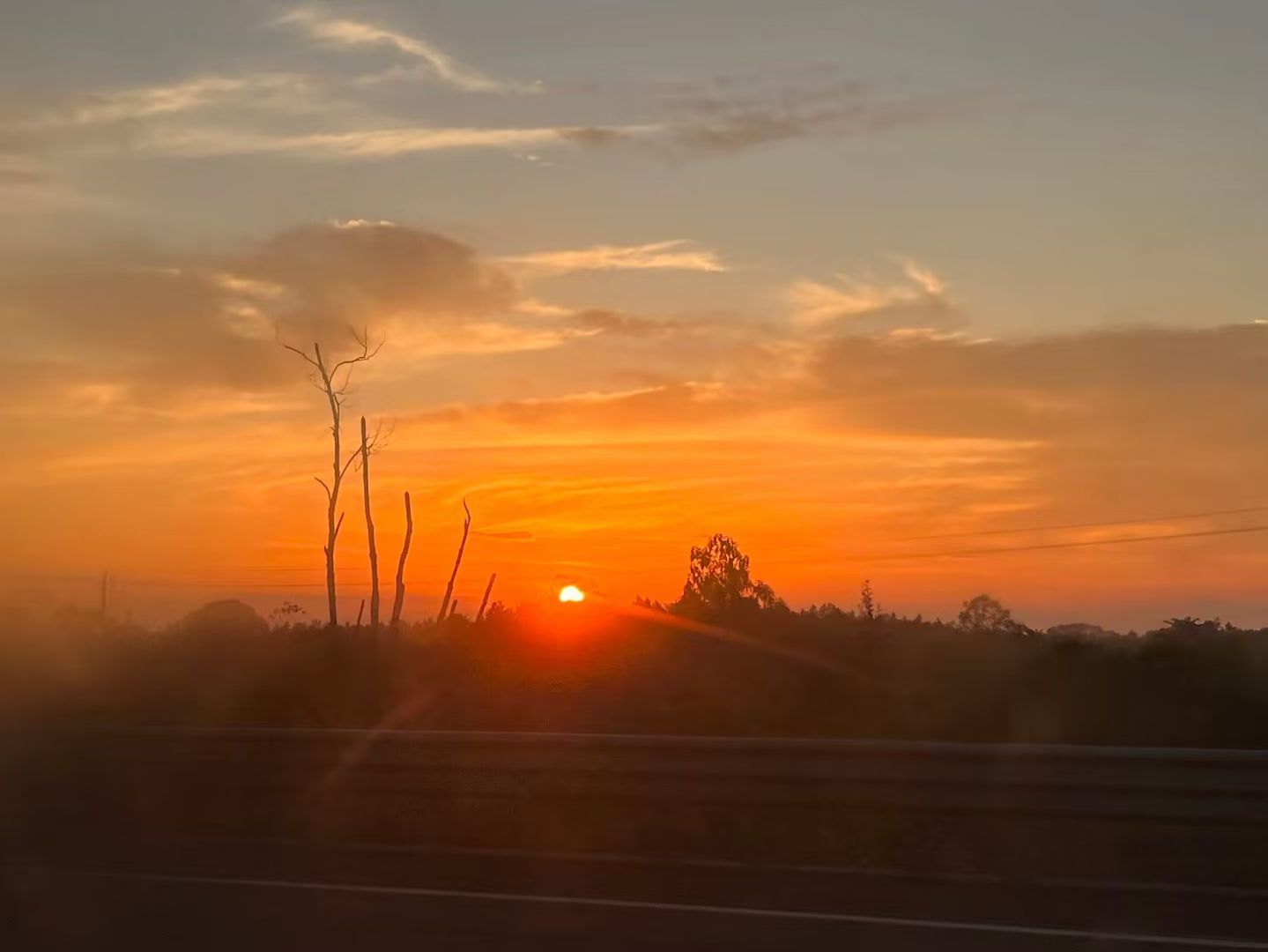 图片[15] - 在飞凤山下，把日子写成诗——刘日生与他的“半界流虹” - 浅染博客-浅染のBlog