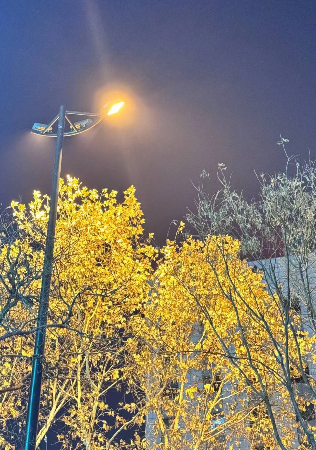 图片[7] - 在飞凤山下，把日子写成诗——刘日生与他的“半界流虹” - 浅染博客-浅染のBlog