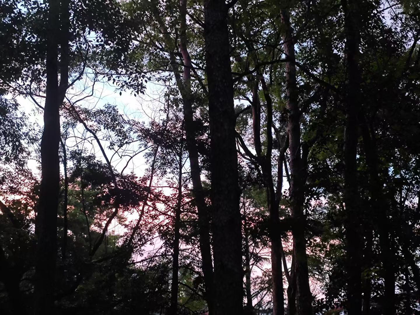 图片[11] - 在飞凤山下，把日子写成诗——刘日生与他的“半界流虹” - 浅染博客-浅染のBlog