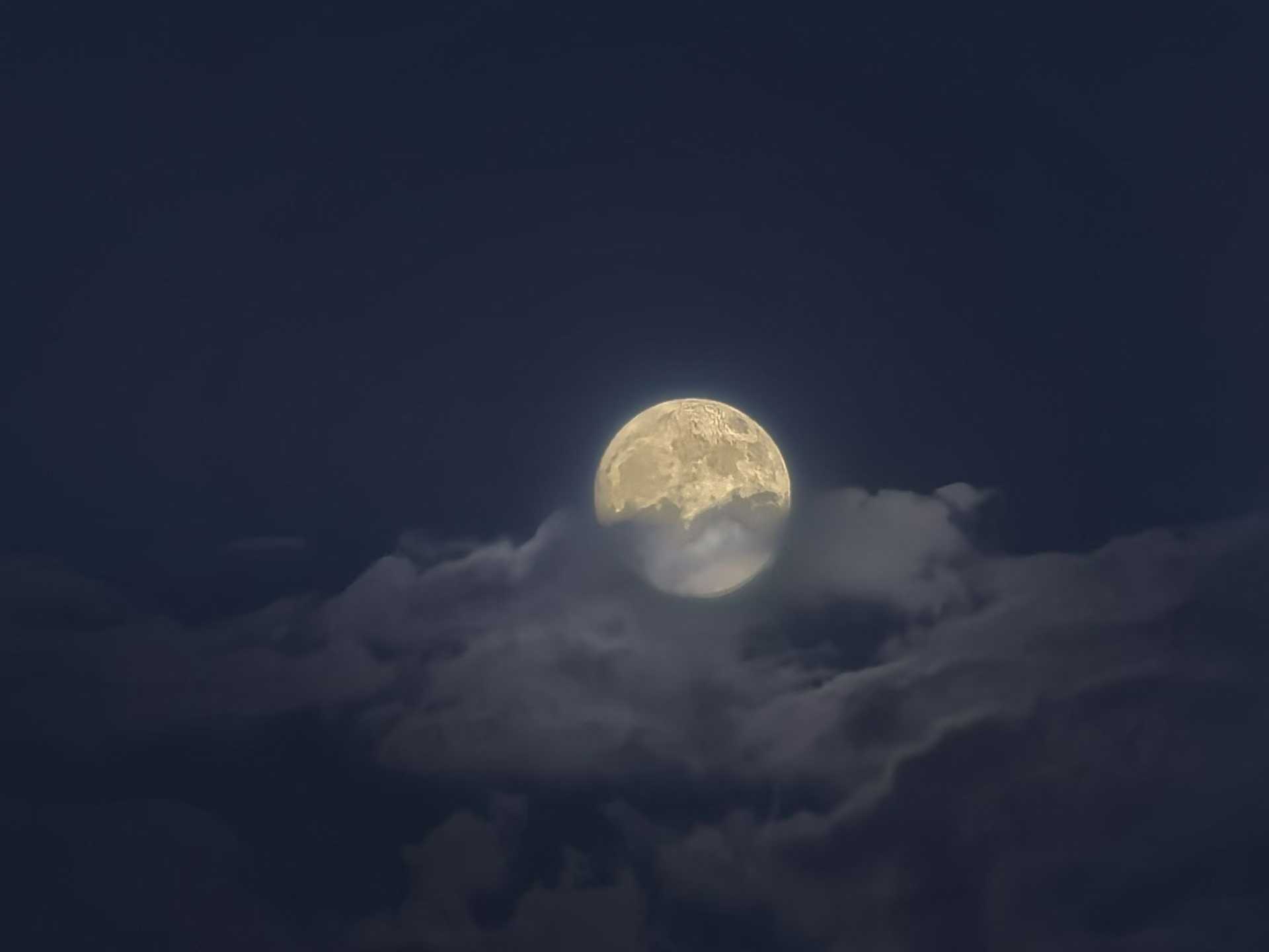 图片[24] - 在飞凤山下，把日子写成诗——刘日生与他的“半界流虹” - 浅染博客-浅染のBlog