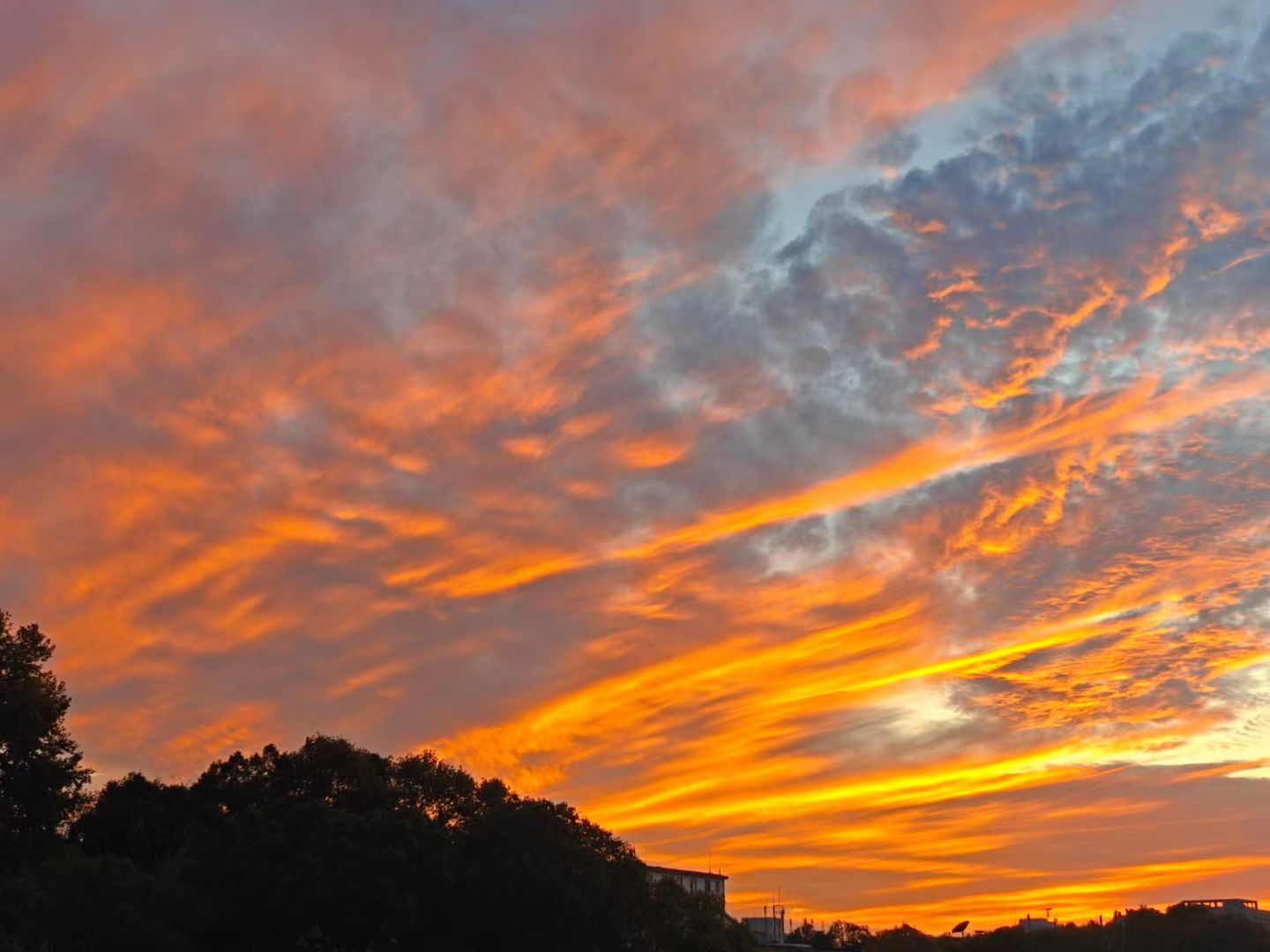 图片[3] - 在飞凤山下，把日子写成诗——刘日生与他的“半界流虹” - 浅染博客-浅染のBlog