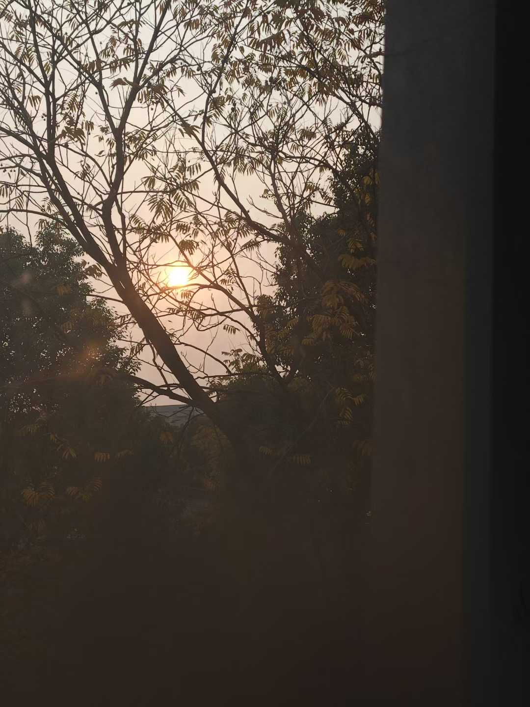 图片[21] - 在飞凤山下，把日子写成诗——刘日生与他的“半界流虹” - 浅染博客-浅染のBlog