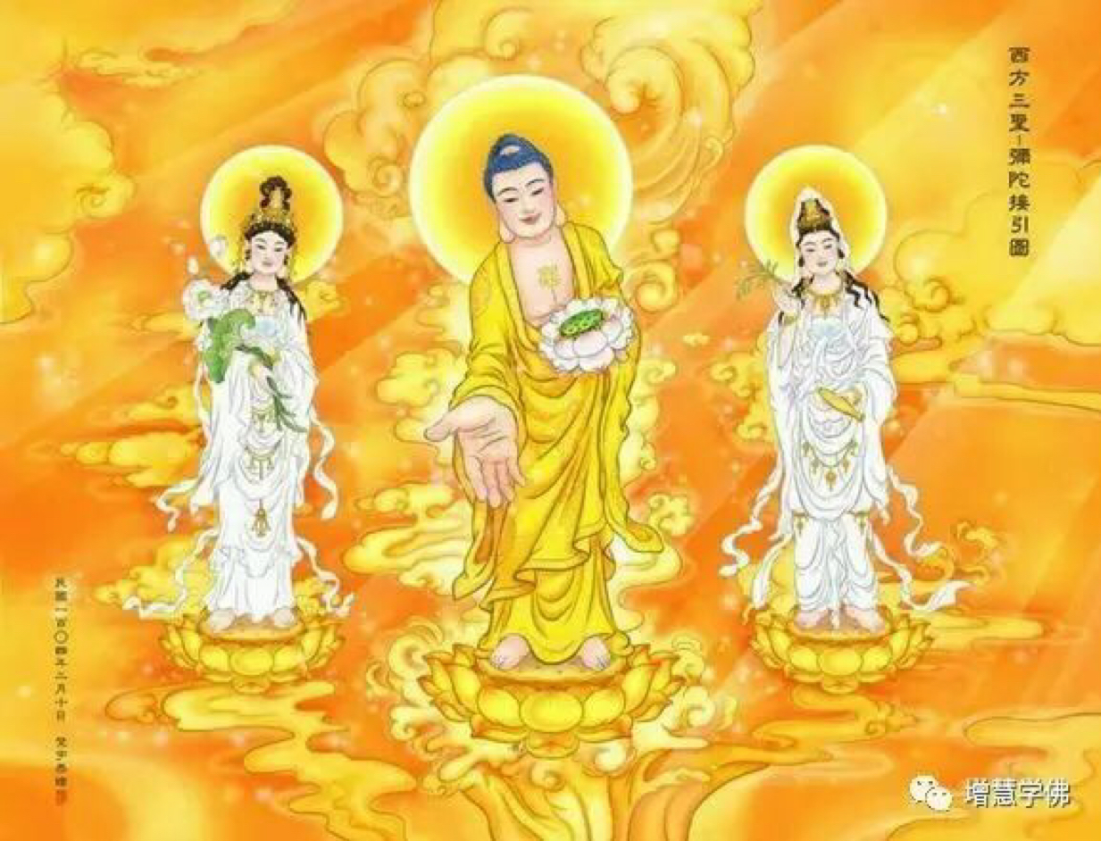 圣宇法师随课皈依超度开示