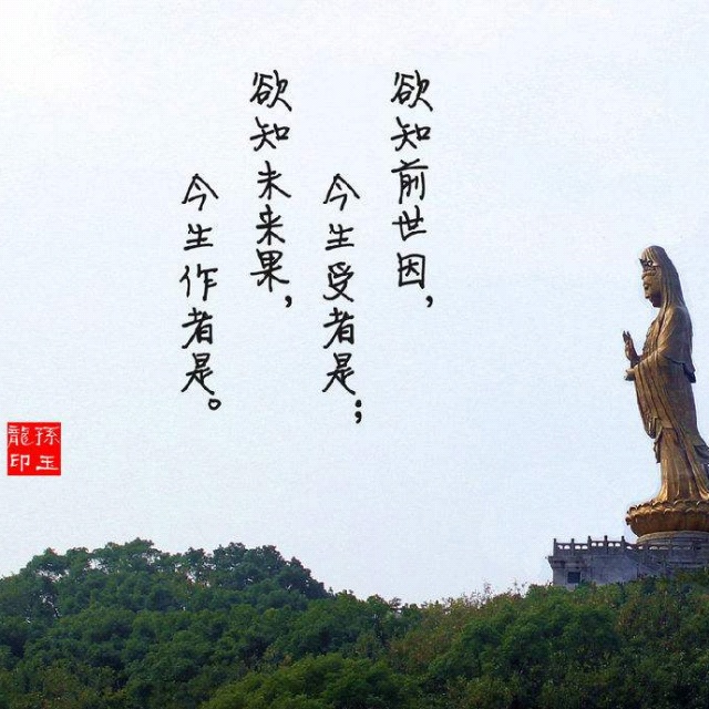 00:0002:55知因懂果悟道之人欲知前世因 今生受者是 欲知来世果 今生