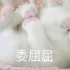 宝贝小袁头像