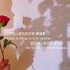 玫瑰虽美啊终究带刺头像