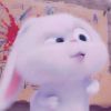 要上天的兔子头像