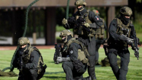 突击百科之特种部队：GSG-9资料简介