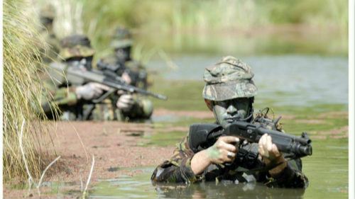 突击百科之特种部队 SACR特种部队介绍