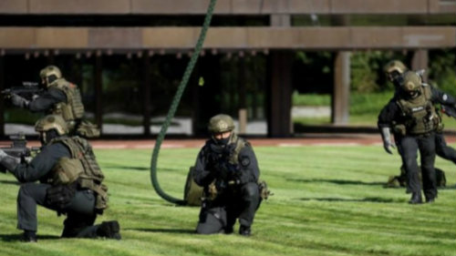 突击百科之特种部队：GSG-9资料简介