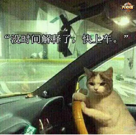 哎呀,这老司机是什么鬼,我为啥要上车呀,小浪哥突然觉得自己out了