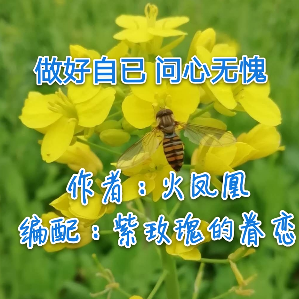 凤 做好自己 问心无愧(火凤凰)