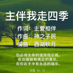 雨露的雪莲 主伴我走四季【e有旋】