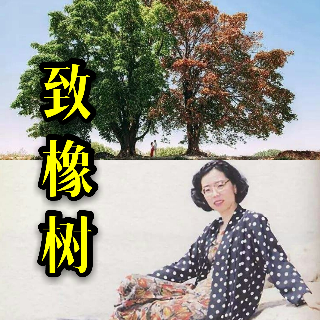 致橡树舒婷