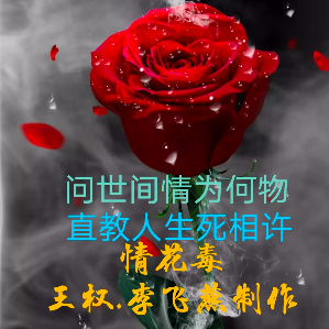 香水百合 【情花毒】王权.李飞燕制作