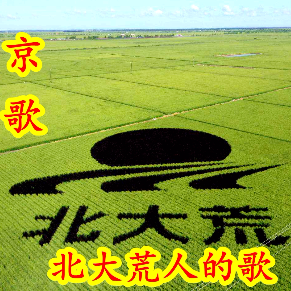 康妮(小号) 京歌-北大荒人的歌