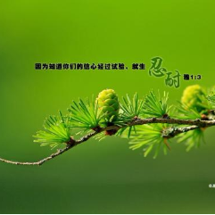 爱是你我 雅各书第三章