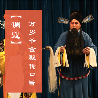 丝弦调寇万岁爷金殿传口旨