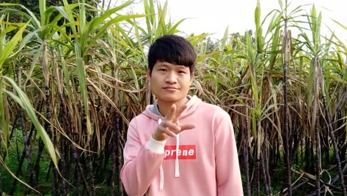 广西仔改编歪唱神曲《工厂美女多》人帅歌声美,好听极了!