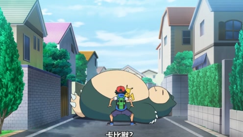 宝可梦2019:小智追寻传说宝可梦,路上偶遇卡比兽挡道