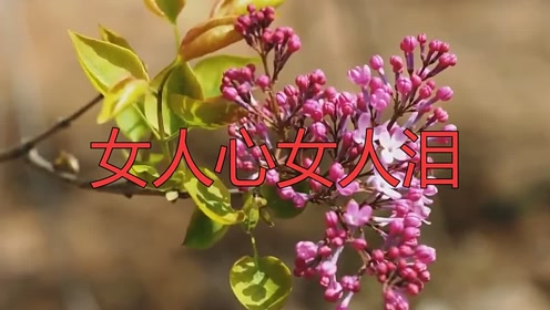 音乐走廊一首《女人心女人泪》太棒了,又一次创造销量神话!