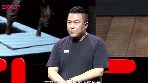 李一夫:雕刻日光之城