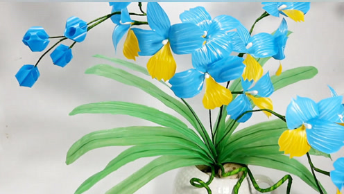 生活小妙招,用吸管制作兰花盆栽的方法,非常有创意!