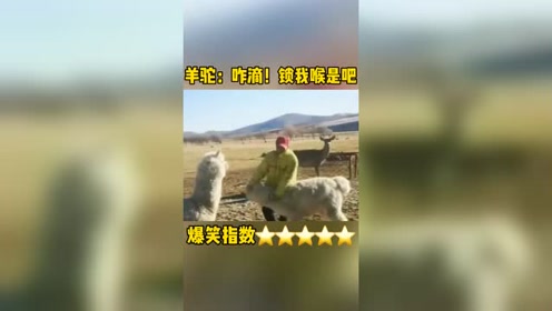 粤语咩咩咩是什么意思,咩等粤语,广东人说咩啊啥意思_大山谷图库
