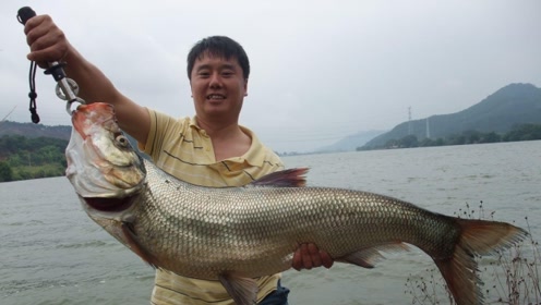 小伙用生鸡蛋抓鱼,大鱼不断地冲出来,这也太舒服了!