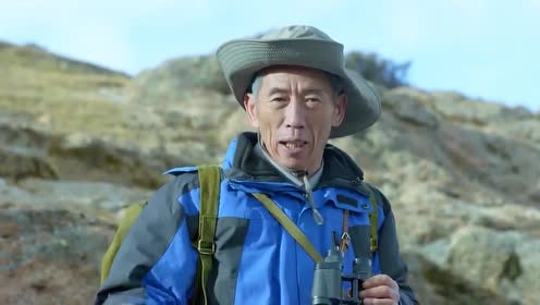 影视:老大爷身子骨真不错,竟然来到高原上,看男兵们训练