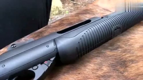 伯奈利新星霰弹枪,人要是被击中估计连"渣"都不会剩
