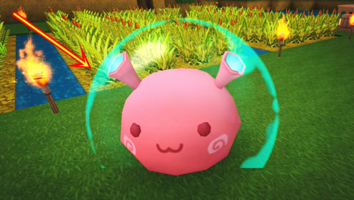 迷你世界野外生存16:打碎罐子又获得一只野生团子