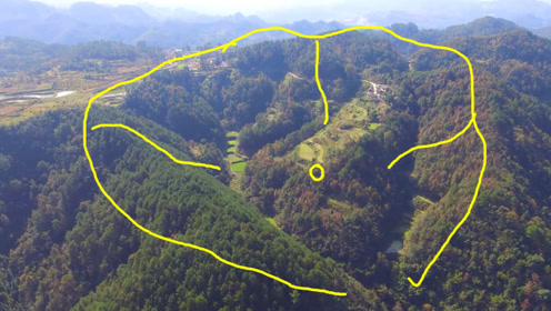 龙脉围绕龙穴,天然形成格局好,这不是一般的宝地