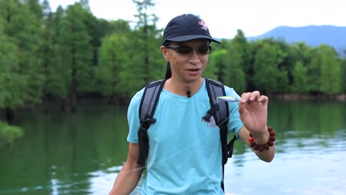 老虎路亚钟馗 排骨老虎介绍钟馗米诺使用特点