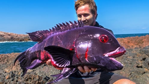 世界上最难钓的鱼,活跃度百分百,差点让渔夫搭上性命