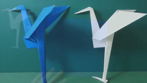 折一个失传的白鹤,时间有点长,好多人没见过,手工折纸