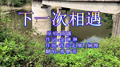 催泪情歌《下一次相遇》农村版,歌词很走心,好听极了!