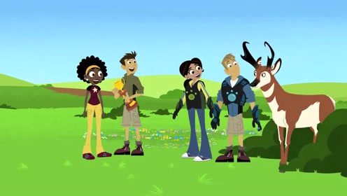 动物兄弟:柯基这组差一点就赢得了比赛,真的是很可惜