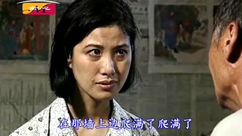 影视原声《篱笆墙的影子》毛阿敏