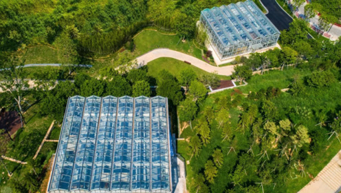 高楼中隐藏50万亩农田,日本的都市农业,能看到中国城市的未来?